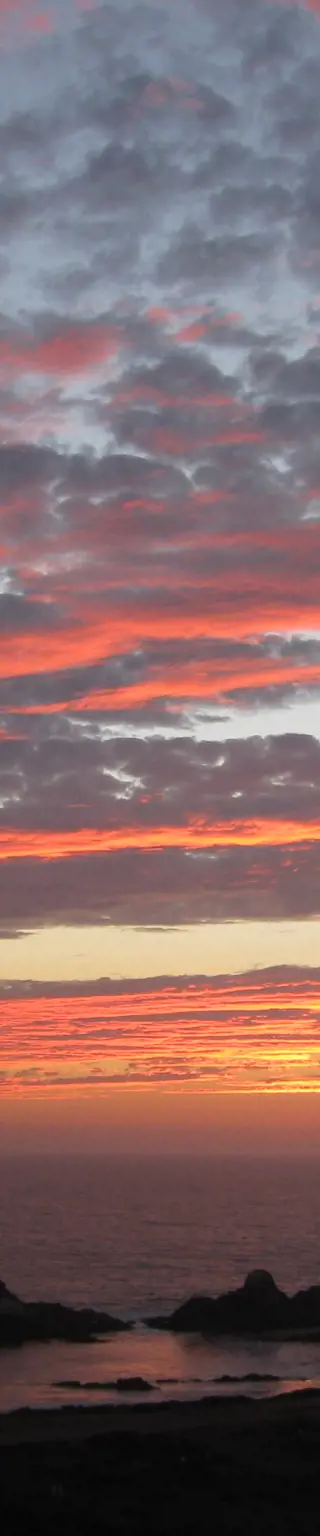 Mit dem eigenen Auto Baja California erkunden